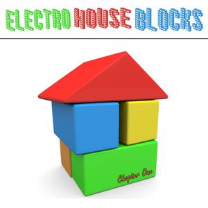 Electro House Blocks (Chapter One)