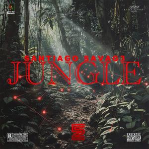 Jungle (Explicit)