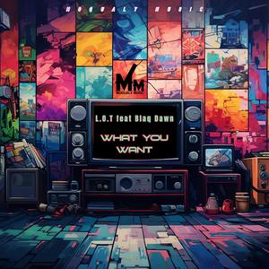 What You Want (feat. Blaq Dawn) (Explicit)