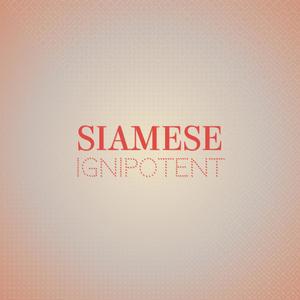 Siamese Ignipotent