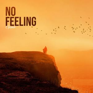 No Feeling