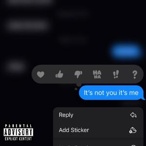 ITS NOT YOU ITS ME (Explicit)