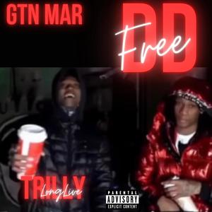 FreeDD (Explicit)