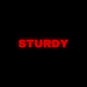 STURDY (feat. Lottaa) (Explicit)