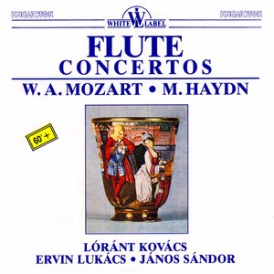 Flute Concerto No. 1 in G Major, K. 313: III. Rondo. Tempo di menuetto