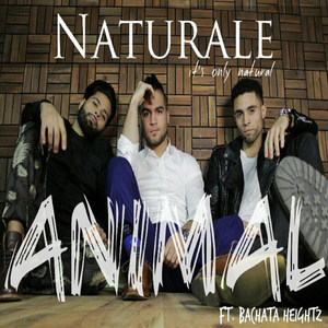 Animal(feat. Bachata Heightz)
