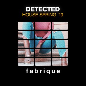 Detected House Spring '19