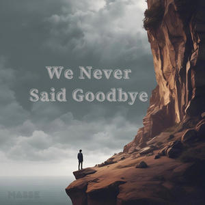 We Never Said Goodbye