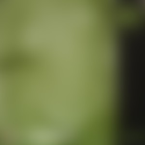 Stockholm Underground