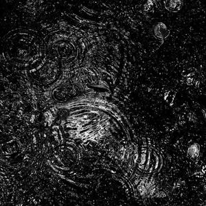 Ditto (inst.|雨声)