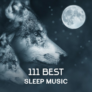 111 Best Sleep Music – Nature Sounds to Fall Asleep, Healing Lullaby, Find Inner Peace, Relax the Mind, Chinese Music Treatment for Better Sleep