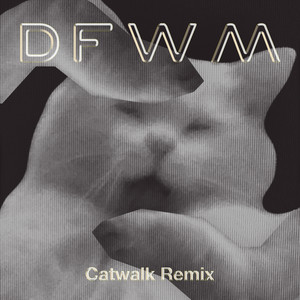 DFWM (Catwalk Remix) [Explicit]