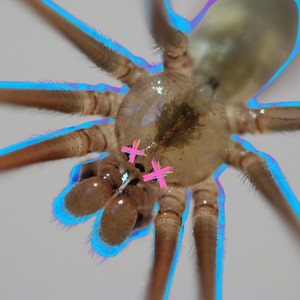 Cuenta bien la historia