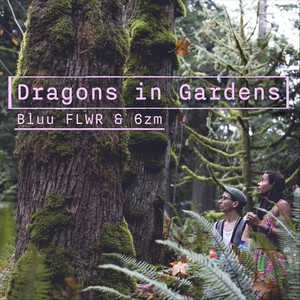 Dragons in Gardens