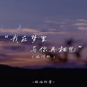 我在梦里与你再相见 (痴情版)封面