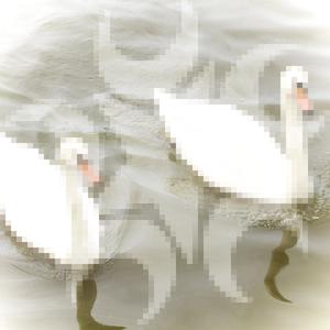 slut (feat. Woody) (Explicit)