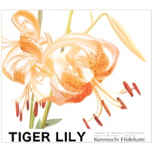 TIGER LILY