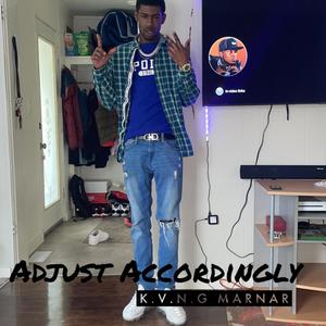 Adjust Accordingly (Explicit)