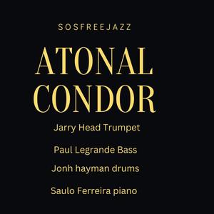 Atonal Condor Mix2 (verb)