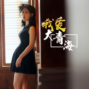 我爱大青海