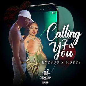 Calling for you (feat. Hopes)