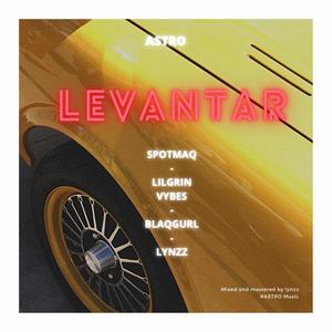 Levantar (feat. Blaqgurl, Lilgrin vybes & Lynzz) [Explicit]