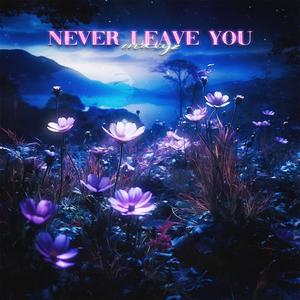 Never Leave You