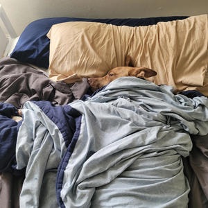 Walk On Bye (Explicit)