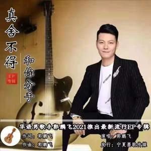 真舍不得和你分手