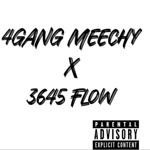 3645 Flow (Explicit)