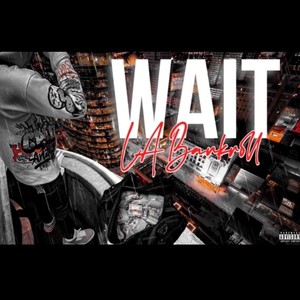 Wait (Explicit)