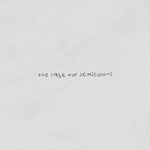 the case for semicolons