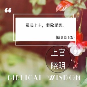 主当我像你跪下的时候