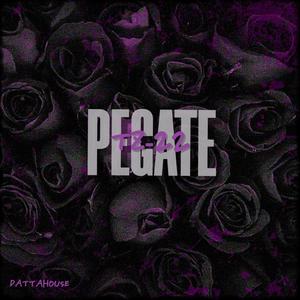 PEGATE (Explicit)