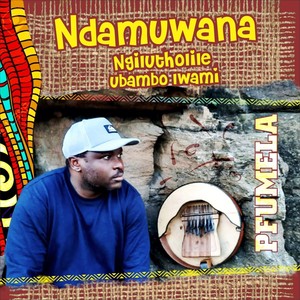 Ndamuwana (Ngilutholile Ubambo Lwami)