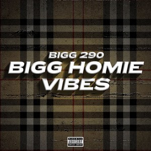 Bigg Homie Vibes (Explicit)