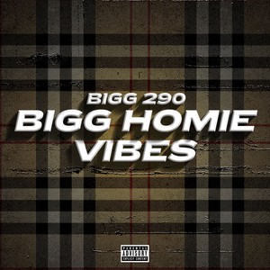 Bigg Homie Vibes (Explicit)