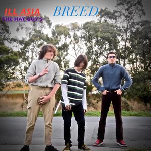 Breed (feat. The Hat Guy's) [Album Mix]