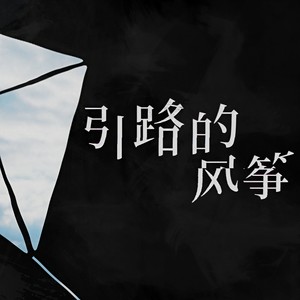 引路的风筝封面