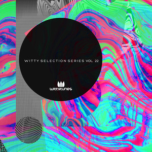 Witty Selection Series, Vol. 22 (Explicit)