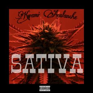 Sativa! (Explicit)