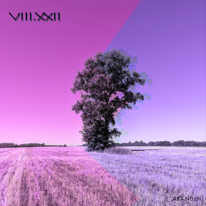 Viii. Xxii