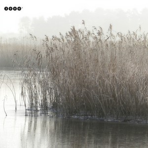 Waldfee (Live Version)