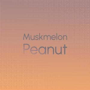 Muskmelon Peanut