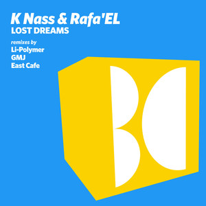 Lost Dreams (Li-Polymer Remix)