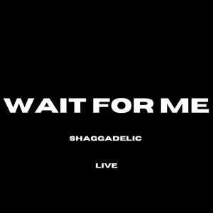 Wait for Me (Live)