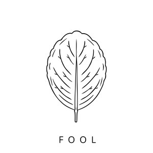 Fool