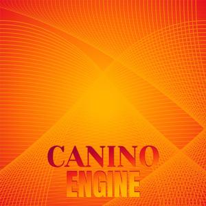 Canino Engine