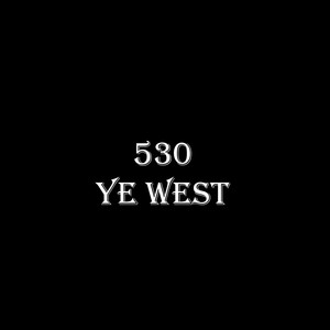 530 (Explicit)