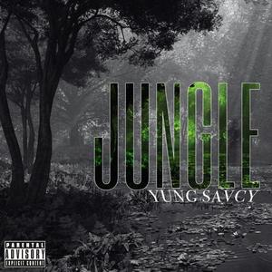 Jungle (Explicit)